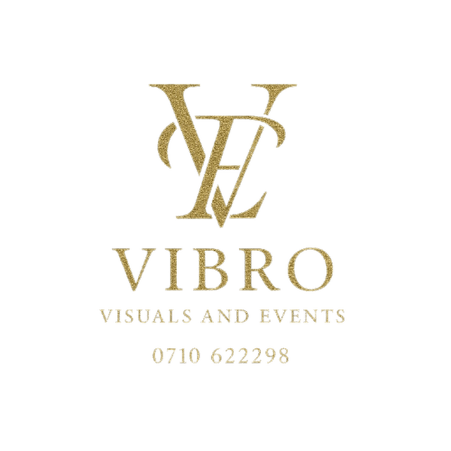 Vibro Visuals Logo